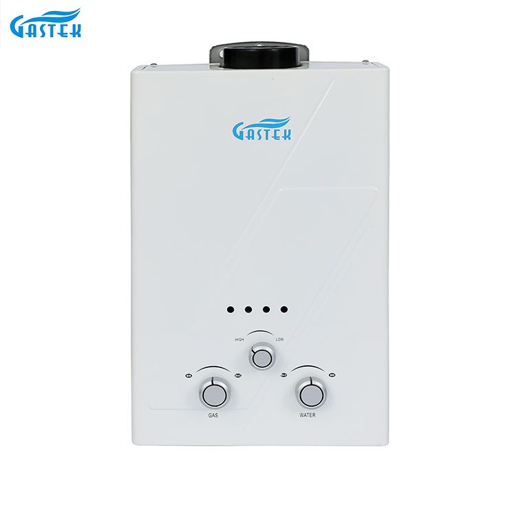 Rookkanaaltype Wandmontage 6L 10L 12L 16L 20L LPG Tankless Instant Gasgeiser voor douche