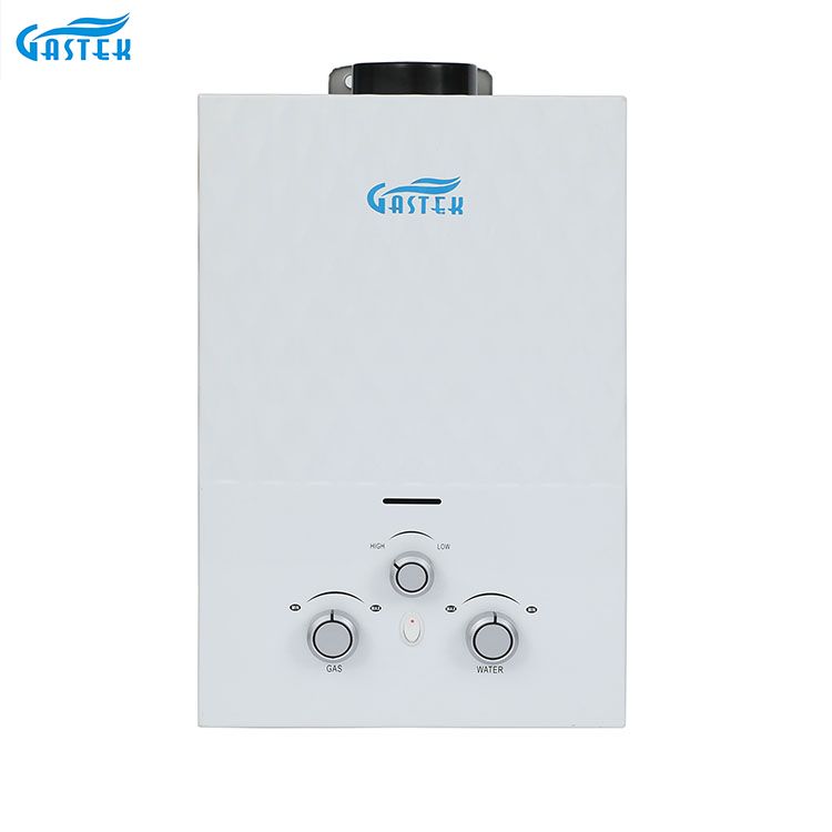 Rookgastype wandgemonteerde tankloze instant gaswarmwaterverwarmer voor douche