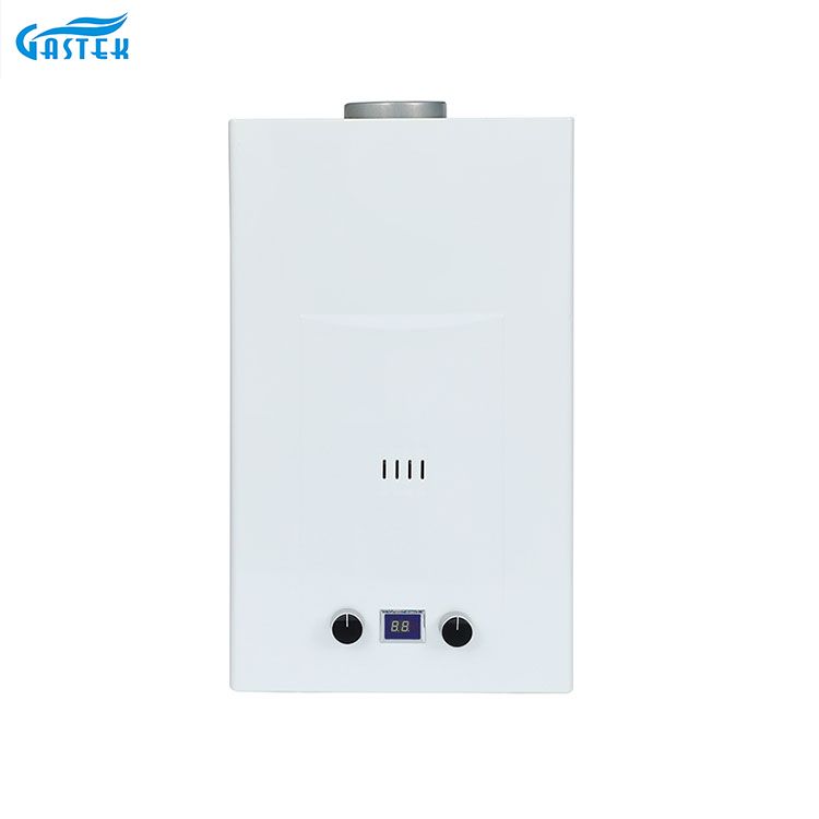 Rooktype 6l 8l 10L 12L 16L 18L 20L Tankless Instant LPG Gasgeyser voor douche