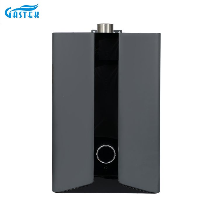 Elektriciteit 220V 110V LCD -paneel Geforceerd type constante temperatuur gasboiler voor badkamer