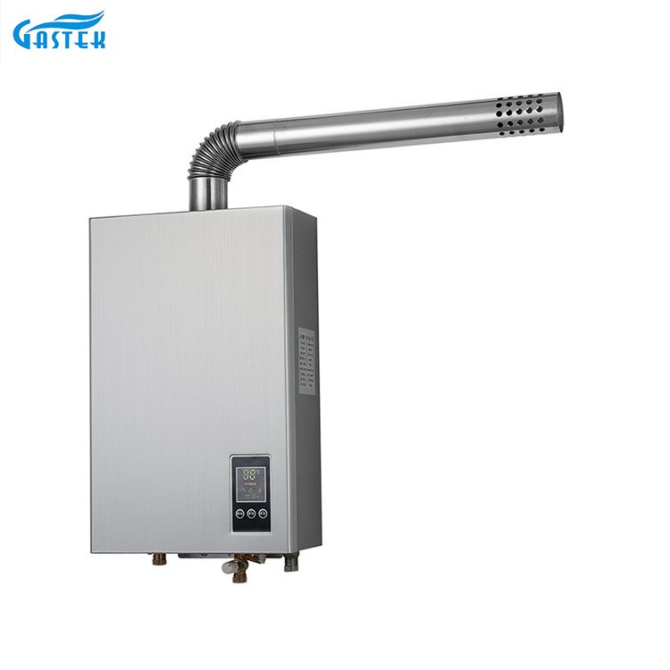 Elektriciteit 220V 110V constante temperatuur geforceerd type gasboiler met compact formaat