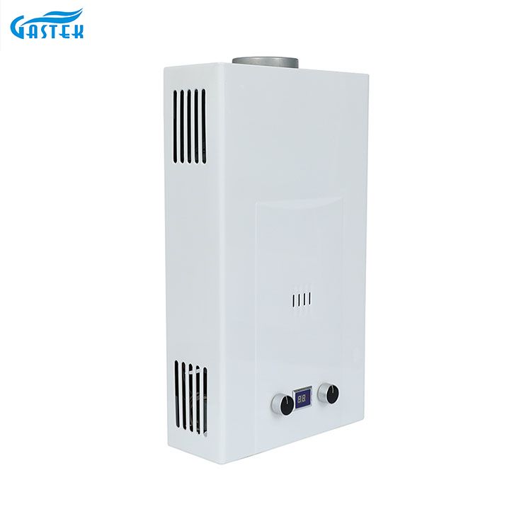 Rooktype Goede kwaliteit 6L 8L 10L 12L 16L 18L 20L Tankloos Instant LPG WOET WATER DOOTEN GASER