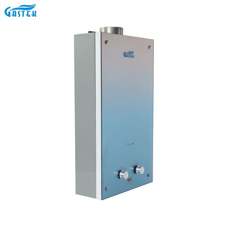 Huishoudapparatuur 6L 10L 12L Rookkanaal Type Wandmontage Aangepaste Glazen Paneel Tankless Instant Gas Geiser voor Douche Baden