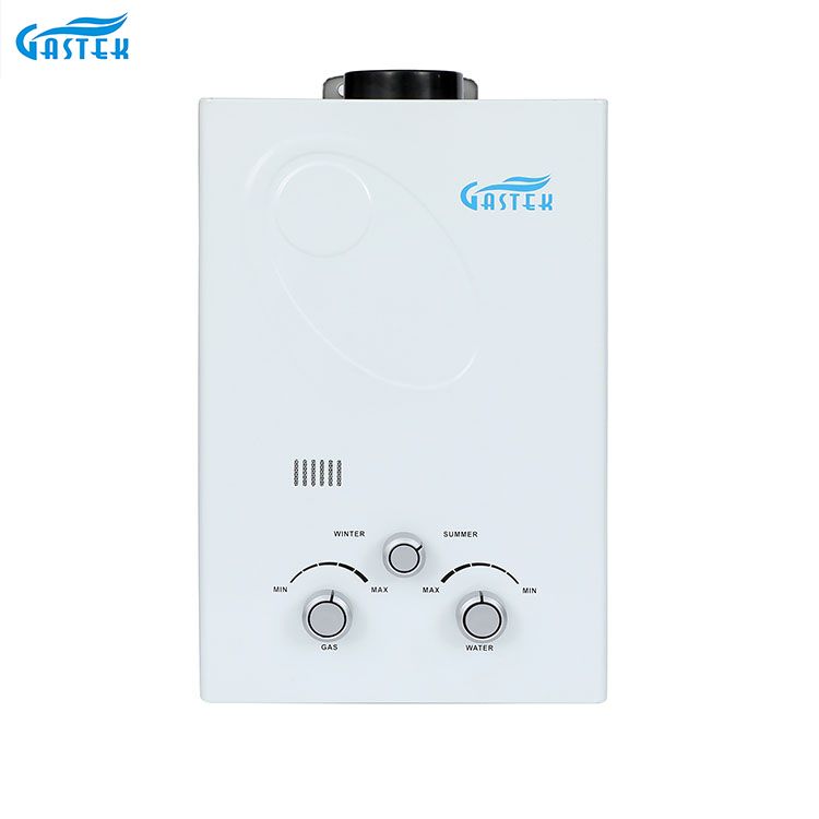 Rookkanaaltype Wandmontage 6L 10L 12L 16L 20L LPG Instant Gasboiler voor douche