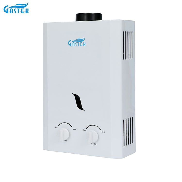 Huishoudapparaat Rookkanaaltype Wandmontage 6L 10L 12L 16L 20L LPG Tankless Instant Gasgeiser voor douche