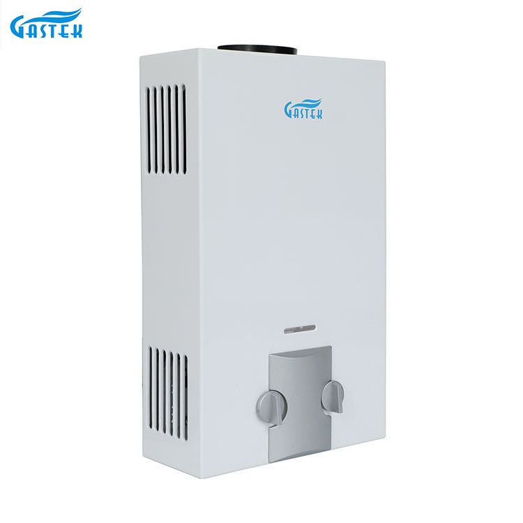 Huishoudapparatuur Fabriek OEM ODM Rookkanaaltype Wandmontage 6L 10L 12L 16L 20L LPG Tankless Instant Gasgeiser voor douche