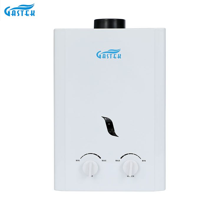 Rookkanaaltype Wandmontage 6L 10L 12L 16L 20L LPG Tankless Instant Gas Warmwaterboiler voor Douche