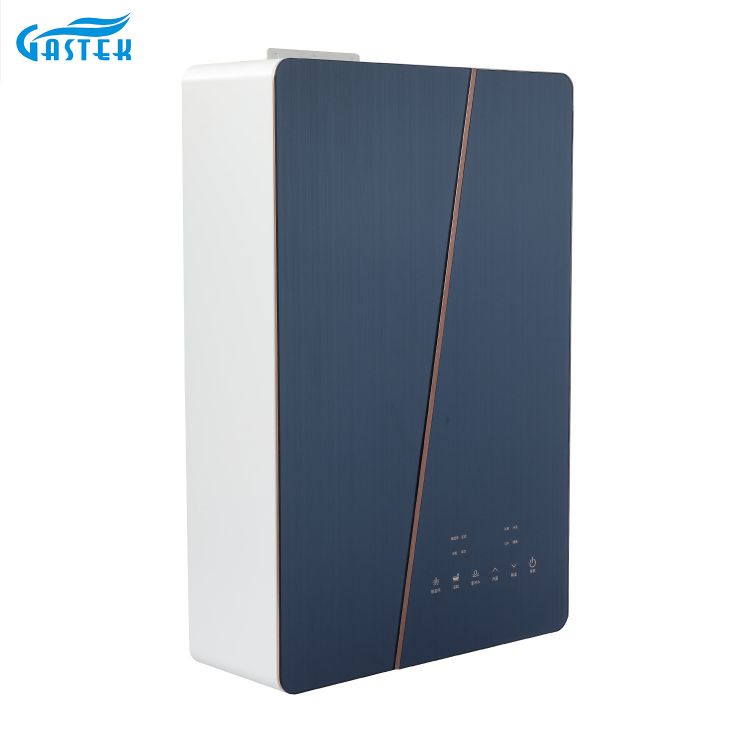 Huishoudelijke gasboiler constante temperatuur geforceerd type 12l compacte grootte gasgeyser voor douche